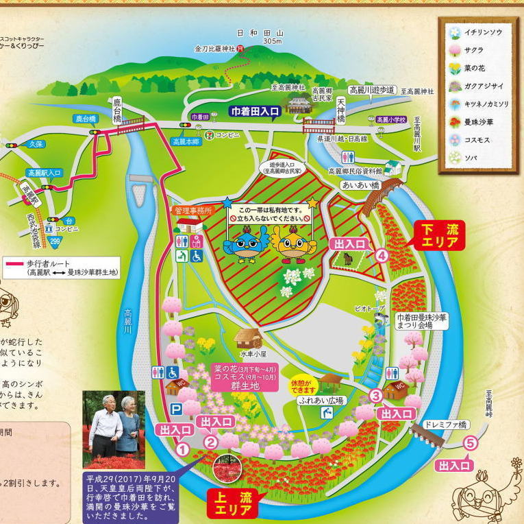 巾着田公園マップ.jpg