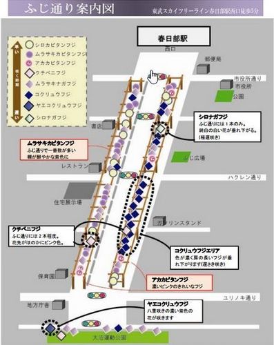 春日部藤まつり会場地図.jpg