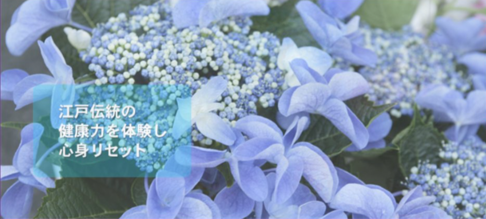2022Չ摜.png