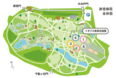 グリーンチャレンジデー会場図.jpg